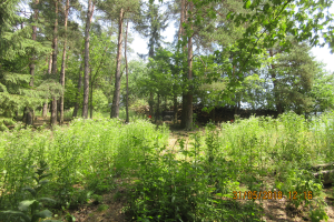 Windhaag Sport (57)