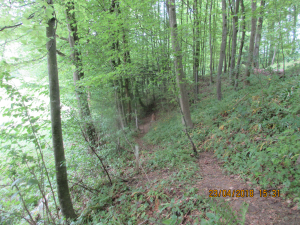 Wolfspfeil (19)
